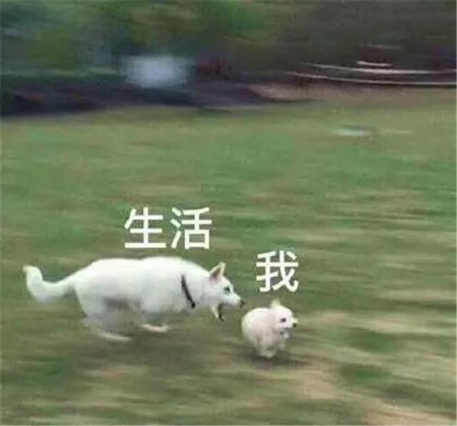 恭喜你挺过2020！
