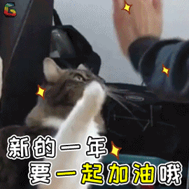 双重惊喜 订制好物丨铂悦山邀你欢度元旦