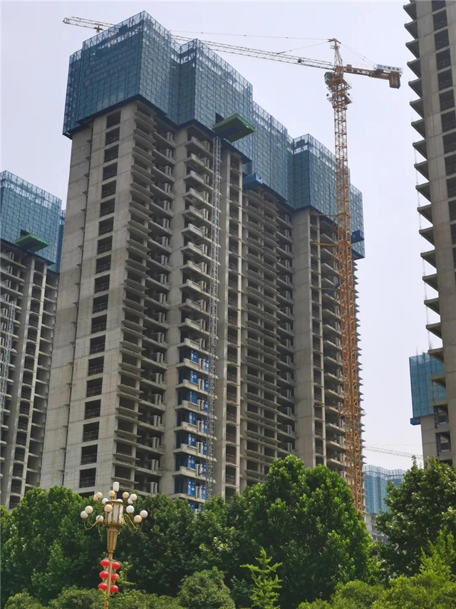 家音敬启 | 喜封金顶，未来美好正“家”速赶来
