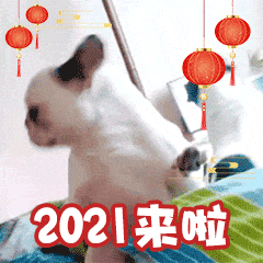 抢福利|新年鸿运正当头，周末有“礼”乐翻天！