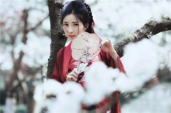 永生花团扇diy | 轻摇风情诗意画，古韵典雅悦团扇