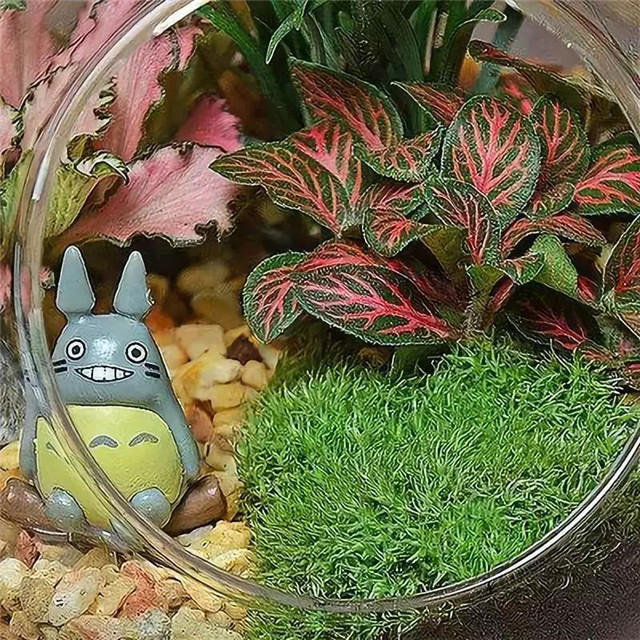“小小植物 奥妙无穷”亲手打造一个“世界”