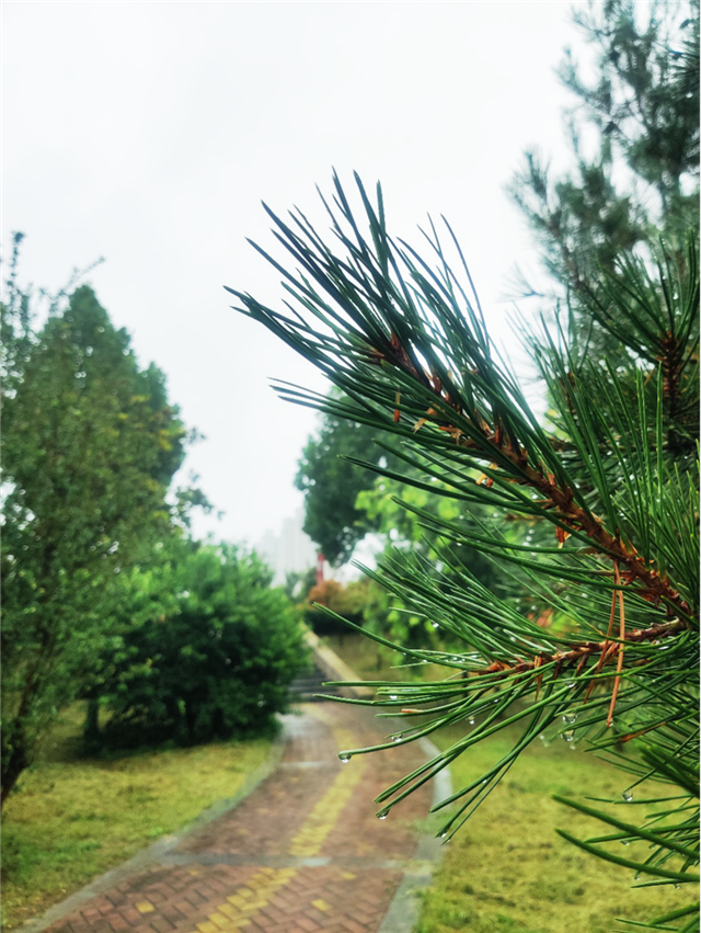 实地探盘丨连续几天的阴雨，这里却成了许昌北最美之地