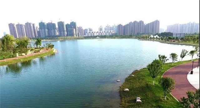 “蝶湖”火热出道，许昌的这个湖也人气爆满！
