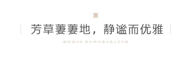 实地探盘丨连续几天的阴雨，这里却成了许昌北最美之地