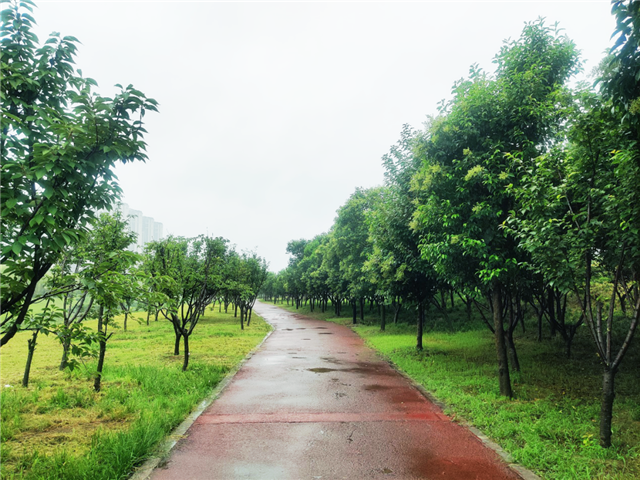实地探盘丨连续几天的阴雨，这里却成了许昌北最美之地