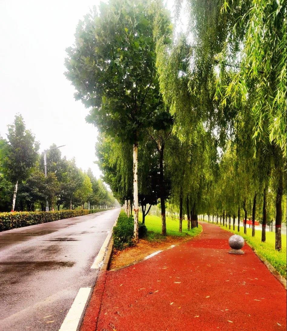 实地探盘丨连续几天的阴雨，这里却成了许昌北最美之地