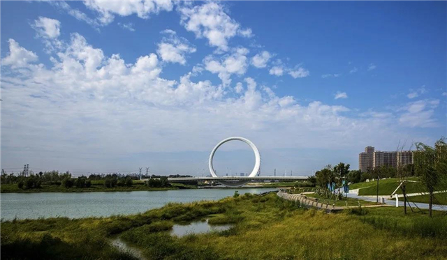 “蝶湖”火热出道，许昌的这个湖也人气爆满！