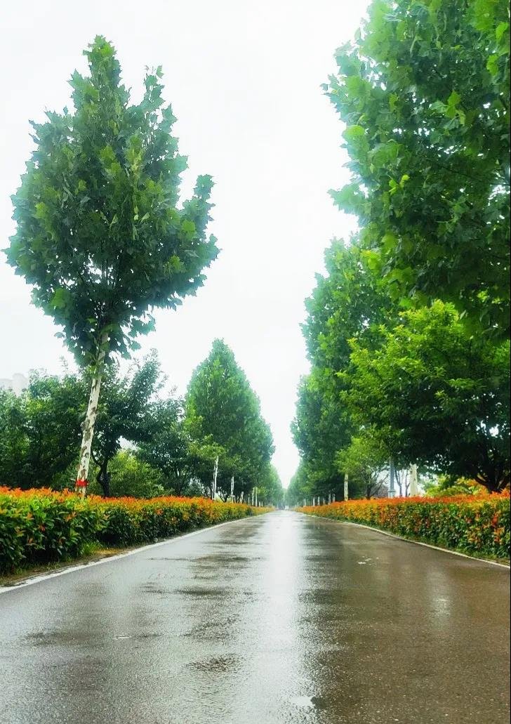 实地探盘丨连续几天的阴雨，这里却成了许昌北最美之地