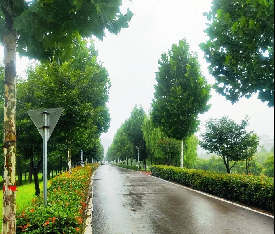 实地探盘丨连续几天的阴雨，这里却成了许昌北最美之地