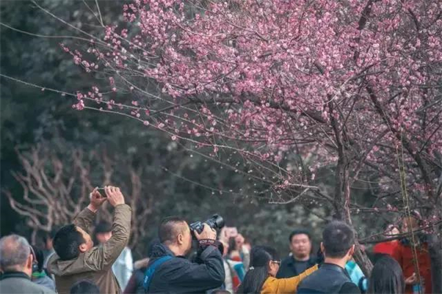 “蝶湖”火热出道，许昌的这个湖也人气爆满！