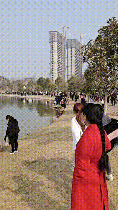 “蝶湖”火热出道，许昌的这个湖也人气爆满！