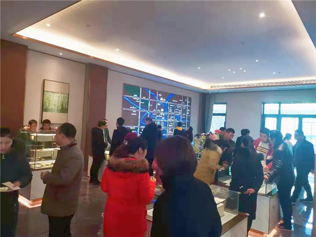 匠心，惊艳全城！正商金域世家样板间璀璨绽放！
